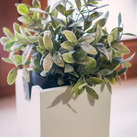 Pensionat El Convent De