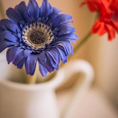 El Convent De 3* Moncada