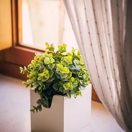 El Convent De ゲストハウス ムンカーダ