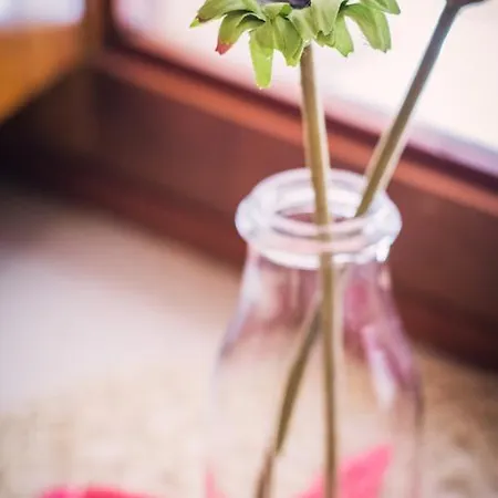 El Convent De ムンカーダ