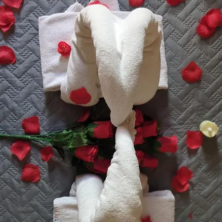 蒙卡达埃尔修道院旅馆 招待所 蒙卡达